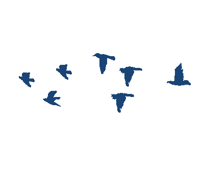 Footer Birds
