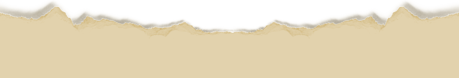 Footer Image